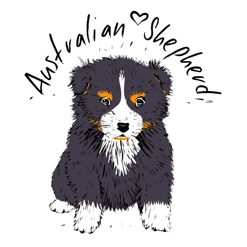 Australian Shepherd, black tri