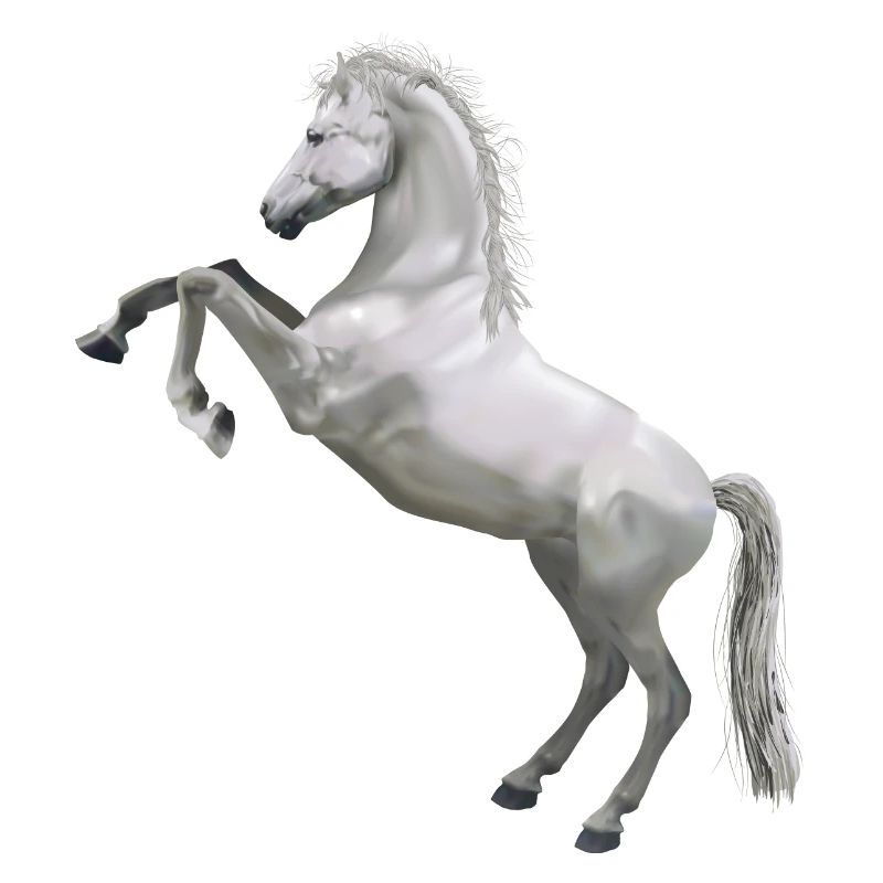 Pferd