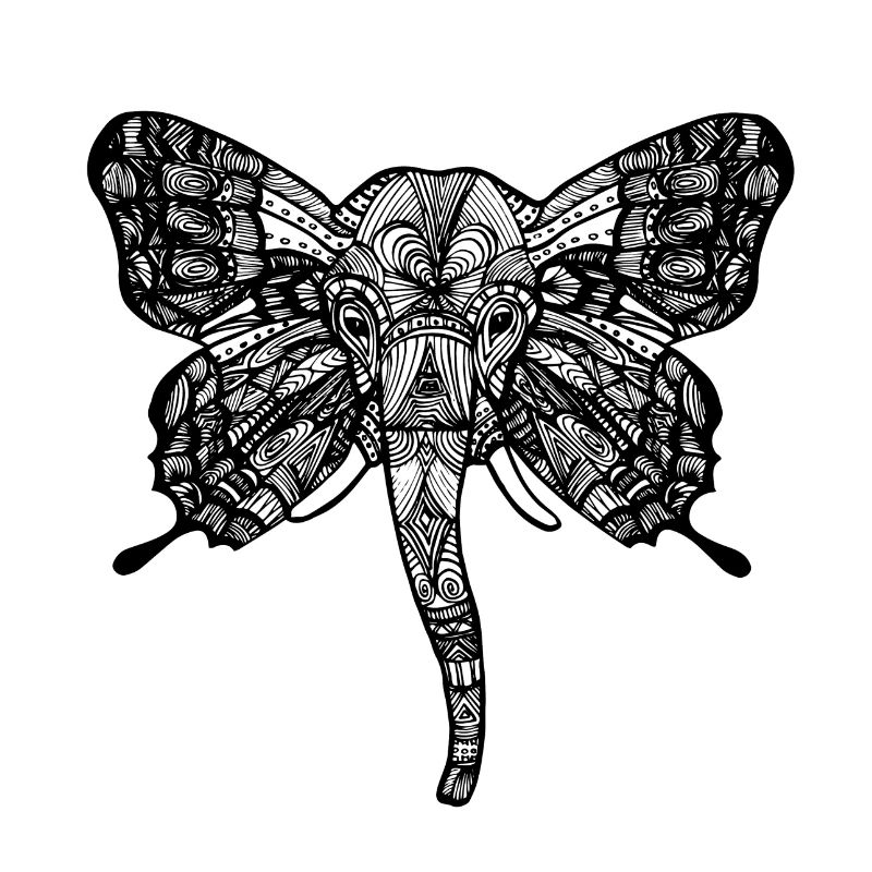 Éléphant avec des oreilles de papillon