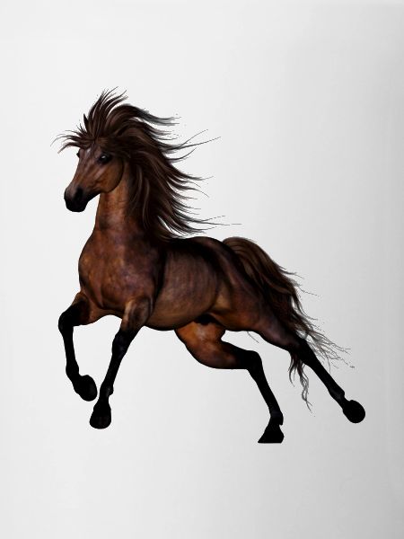 Brown Wild Horse