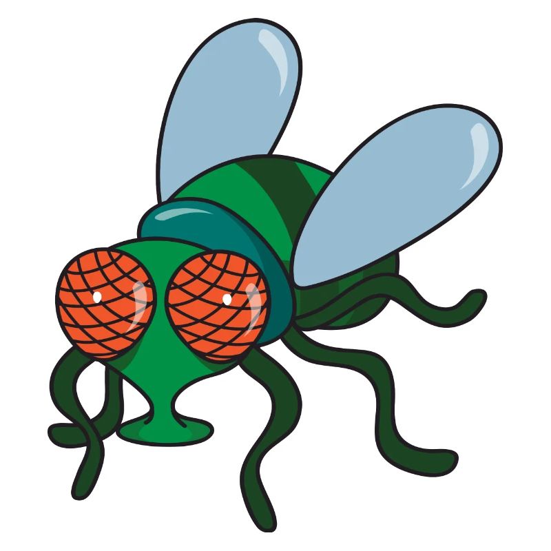 fly