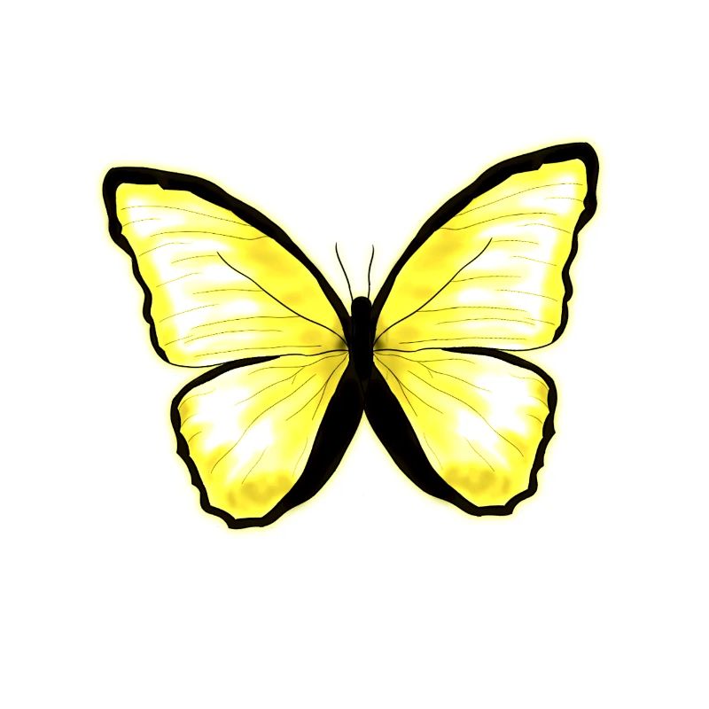 Papillon jaune citron papillon