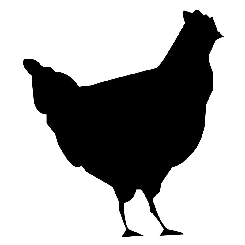 coq les poule poulet