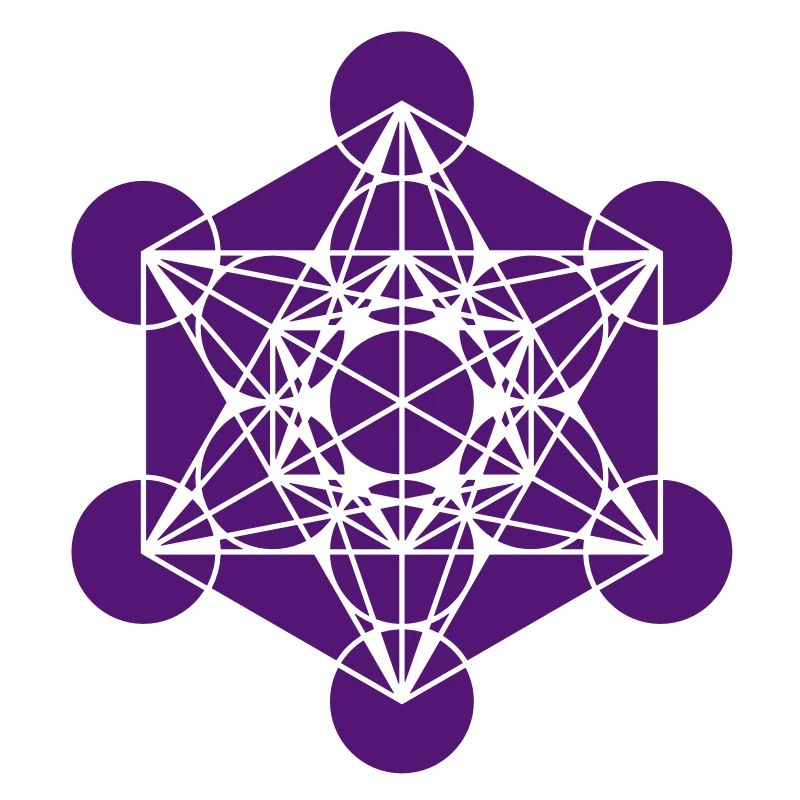 Metatrons Cube - Vector - Platonic Solids /
