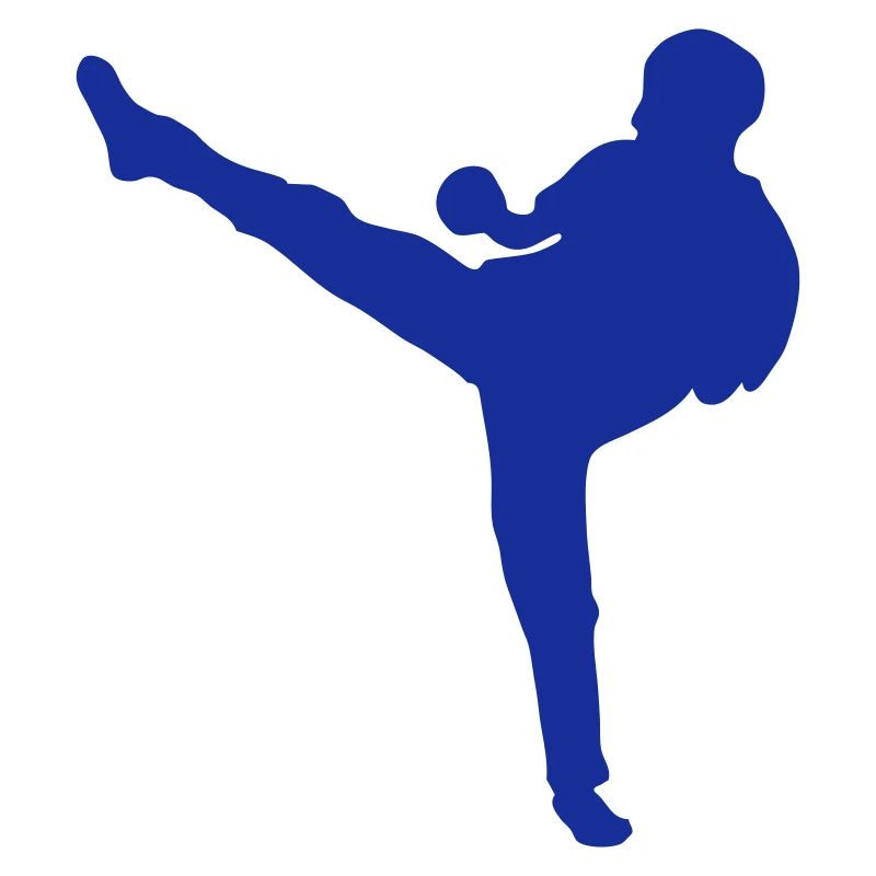 boxe francaise savate