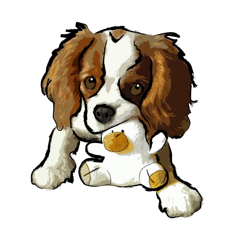 chiot cavalier king charles