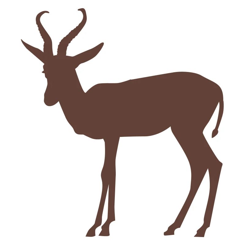 Springbock