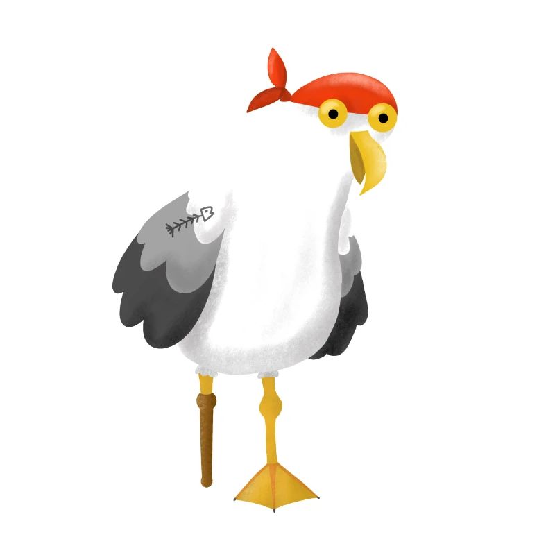 Seagull pirate pirate captain