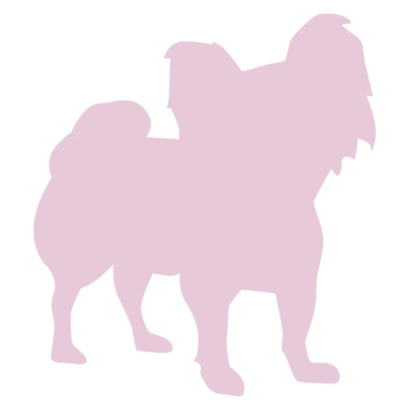Papillon