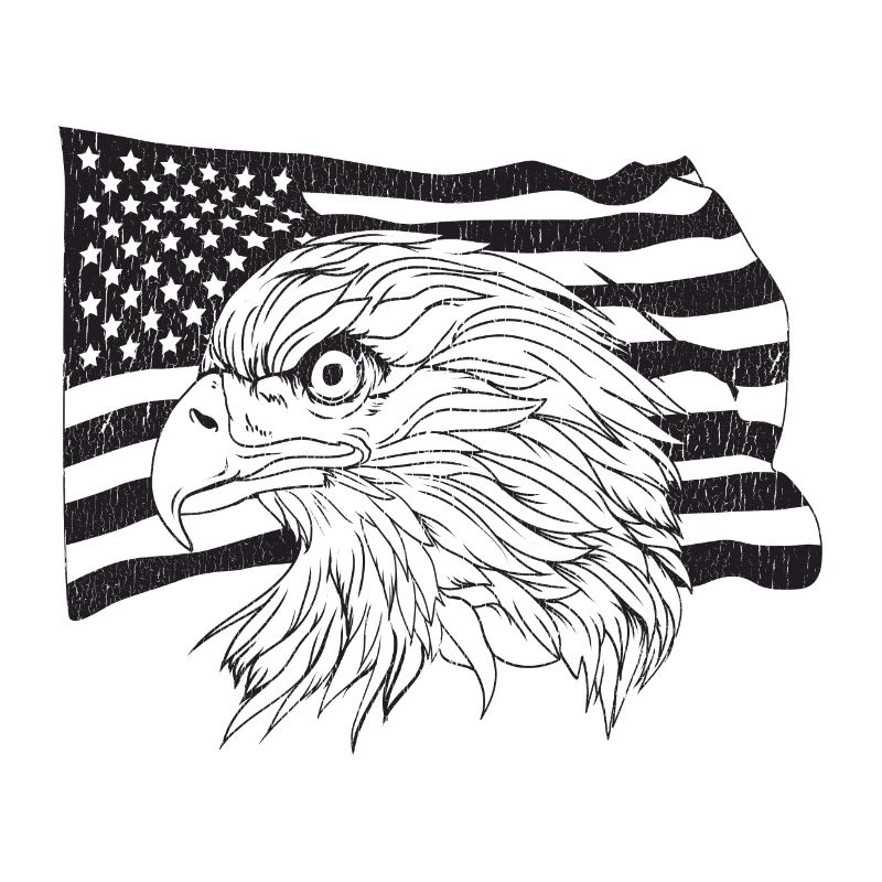 American Flag with American Eagle