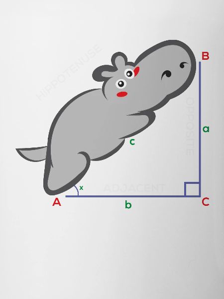 Hippotenuse Funny Math Teacher Gift
