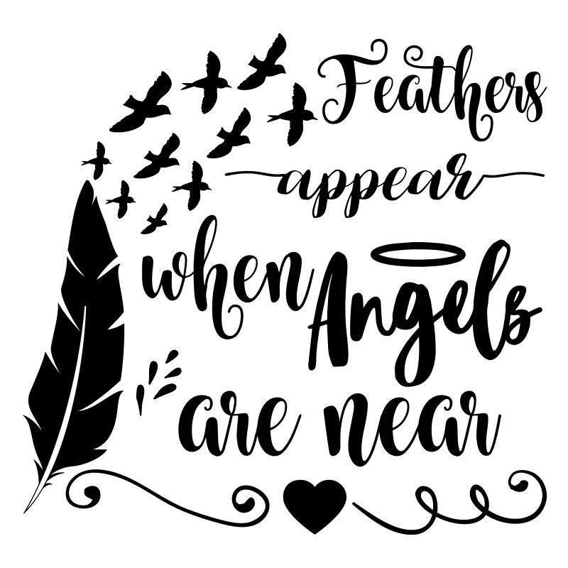 Feathers appear when angels are near