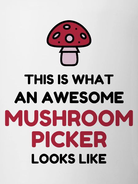 Mushroom / Champignon / Pilz / Picking
