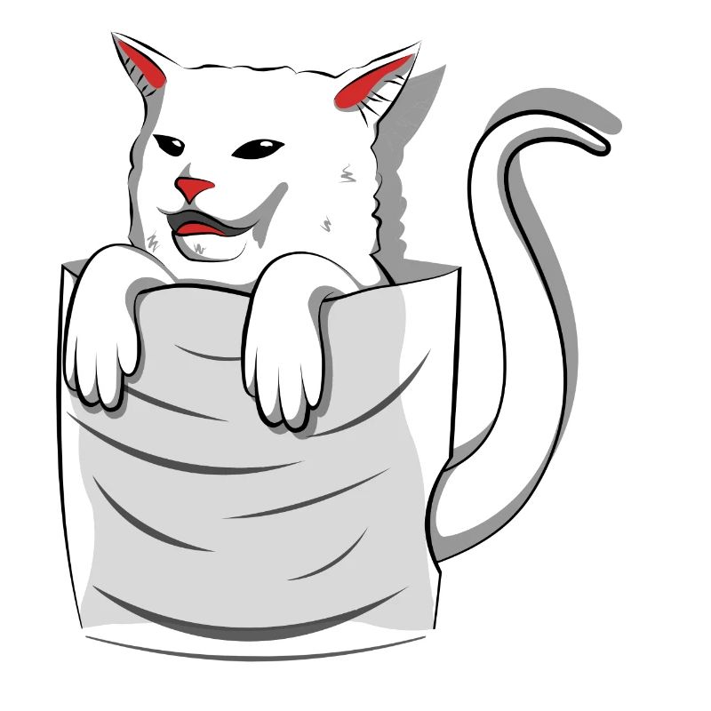 Cat Meme Woman Yelling At Table Dinner Pocket