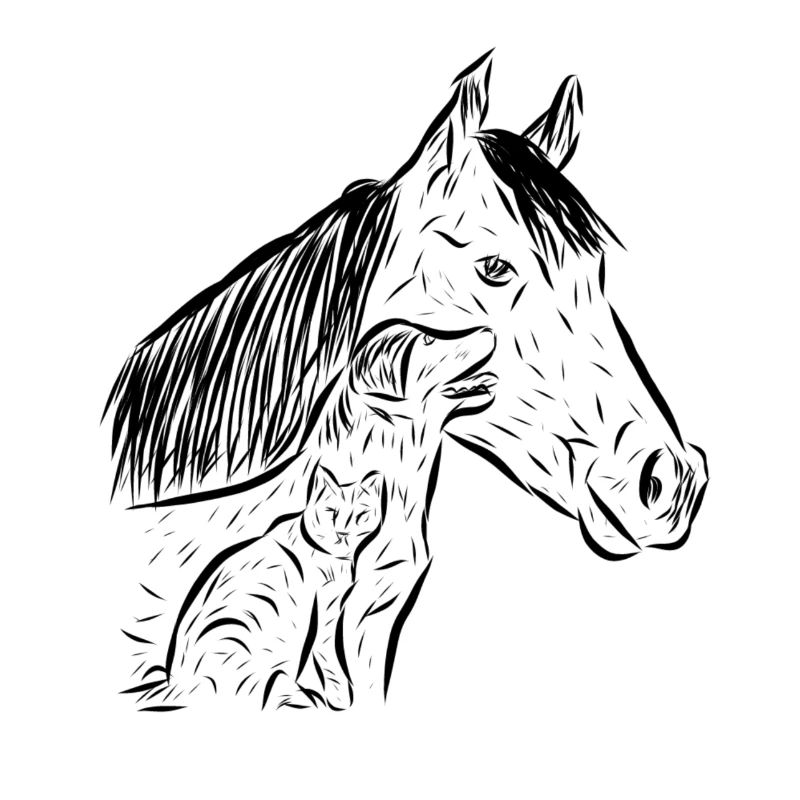 Cheval, chat et chien
