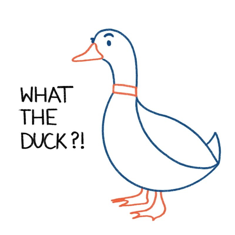 Qu'est-ce que le canard?!
