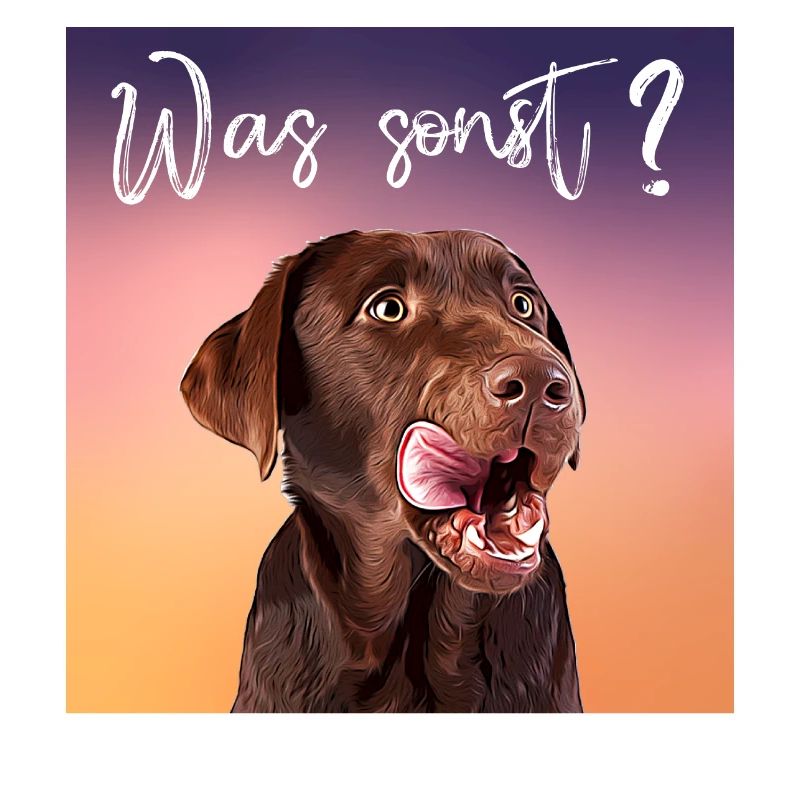 Was sonst brauner Labrador