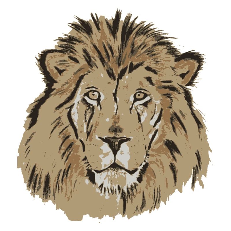 Tête de lion