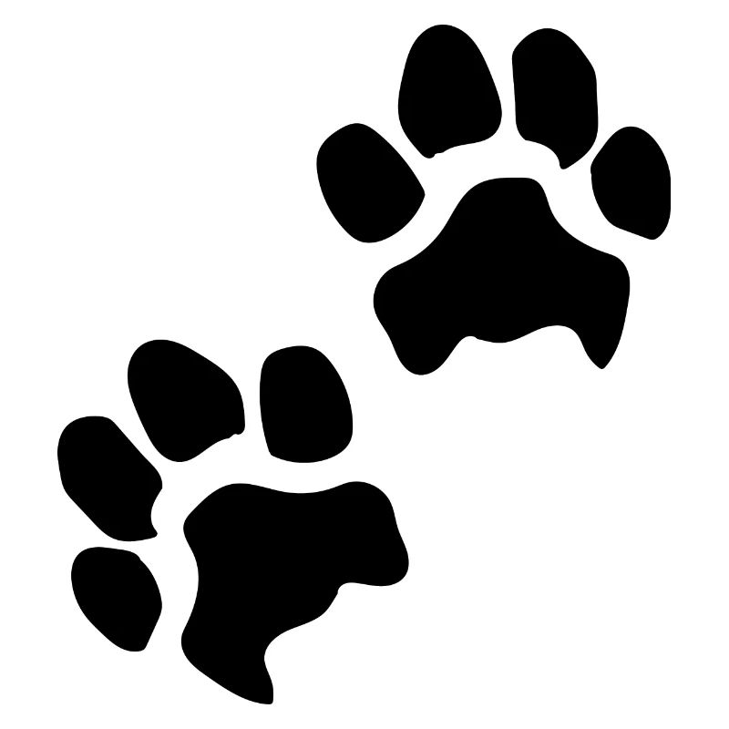 Paw prints dog paws paws dogs