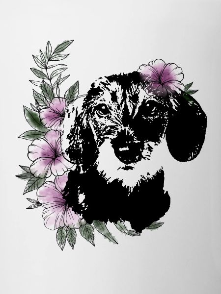 Dachshund girl