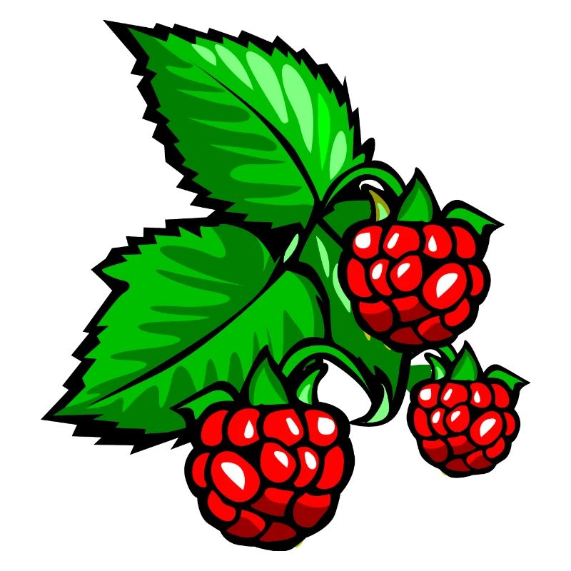 Himbeeren