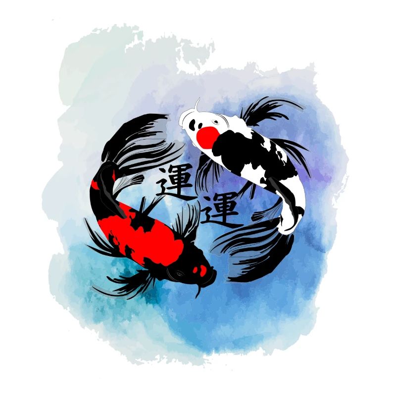 koi carp