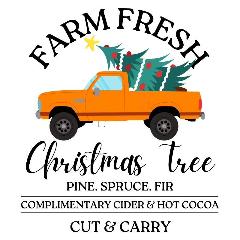 Farm fresh Christmas tree