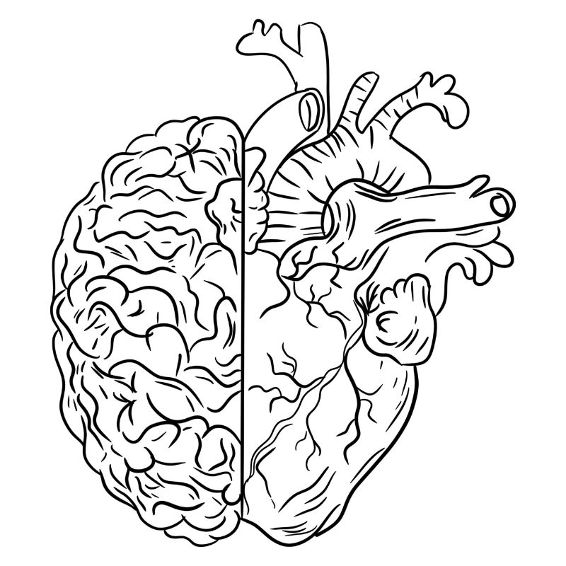 With heart and brain