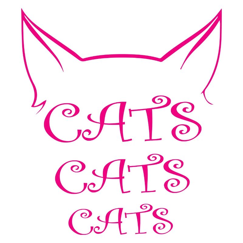 Chat Katze