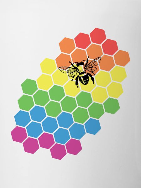 Rainbow Beekeeper Gift
