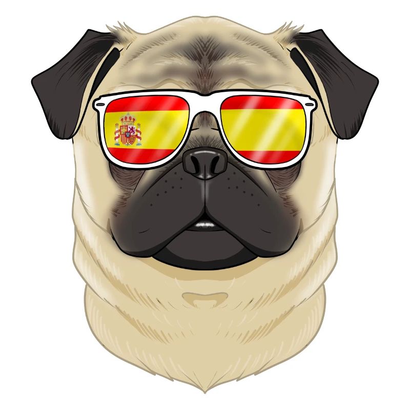 Carlin I Lunettes de soleil Espagne I Drapeau espagnol