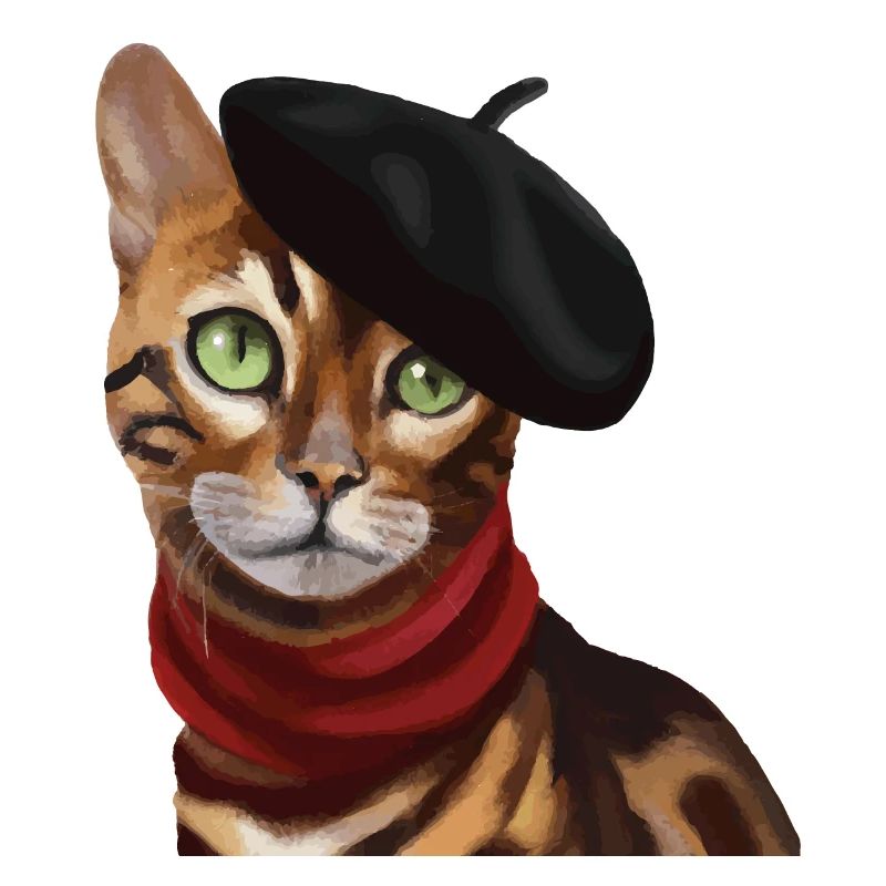 Chat Bengale avec casquette et écharpe
