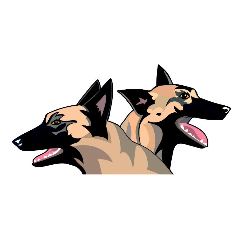 duo malinois