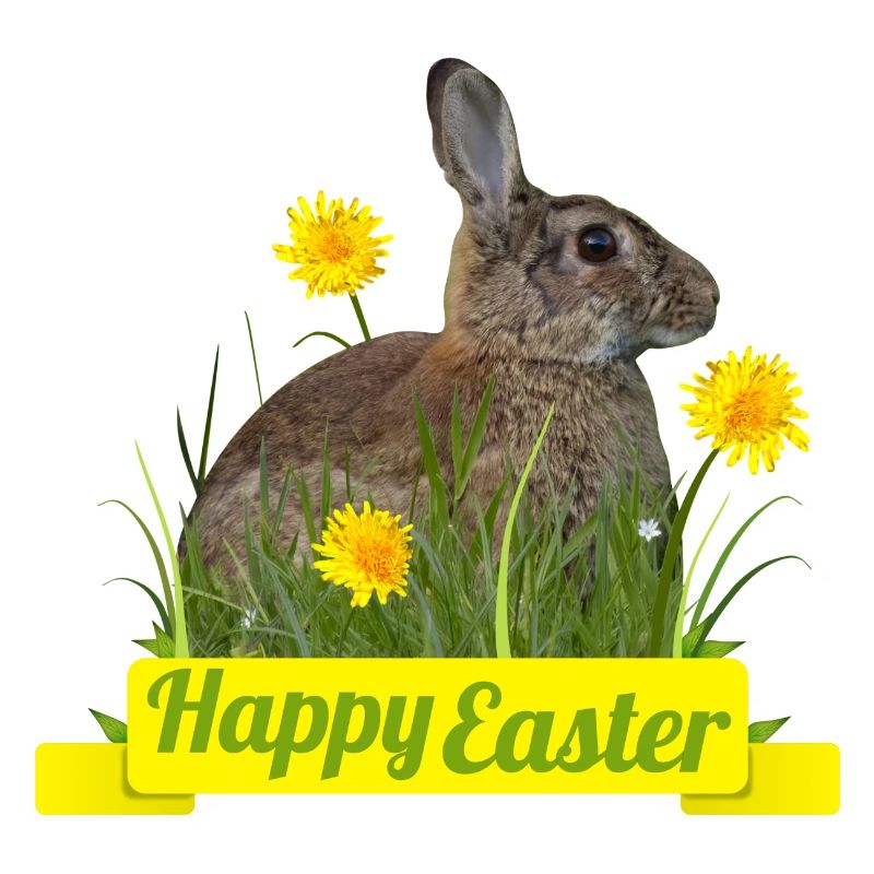 Happy Easter rabbit cony
