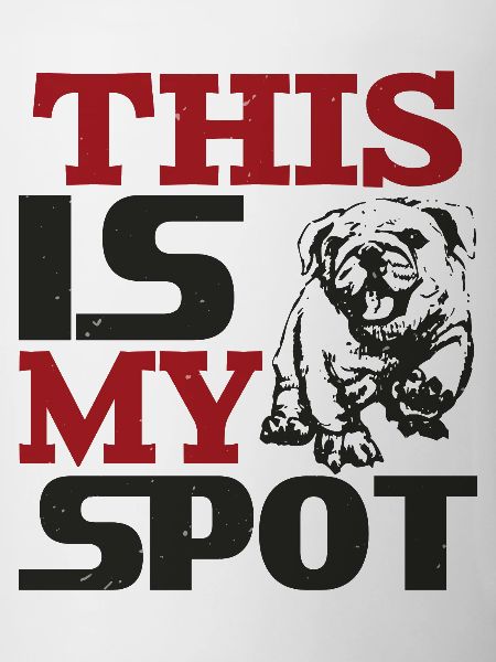 THIS IS MY SPOT FUNNY