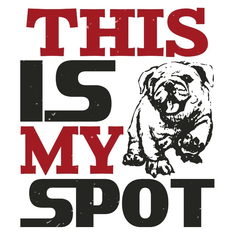 C’EST MON SPOT DRÔLE