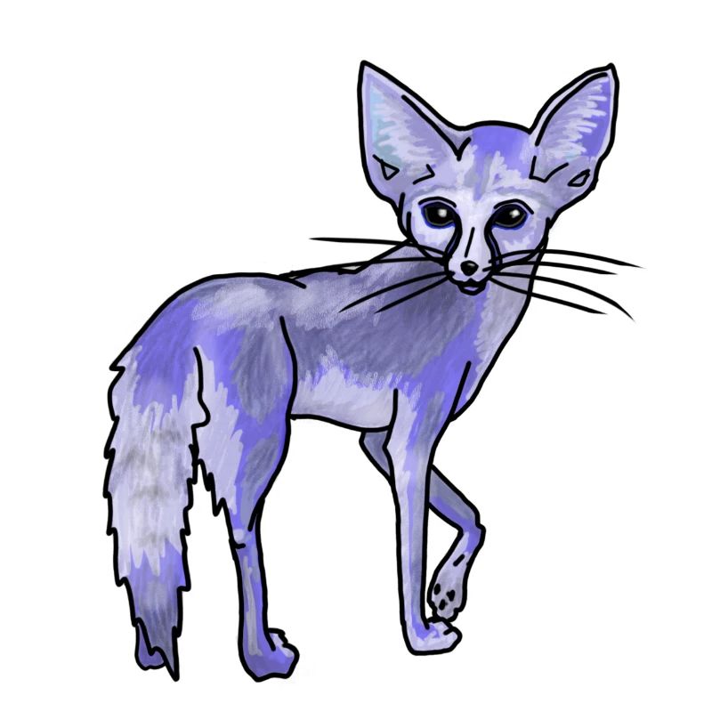 Magical Desert Fox, Blue