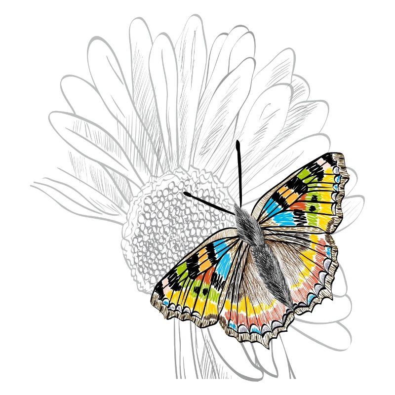 Fleur avec papillon, papillon
