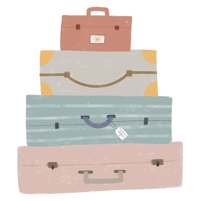 Valise Globetrotter