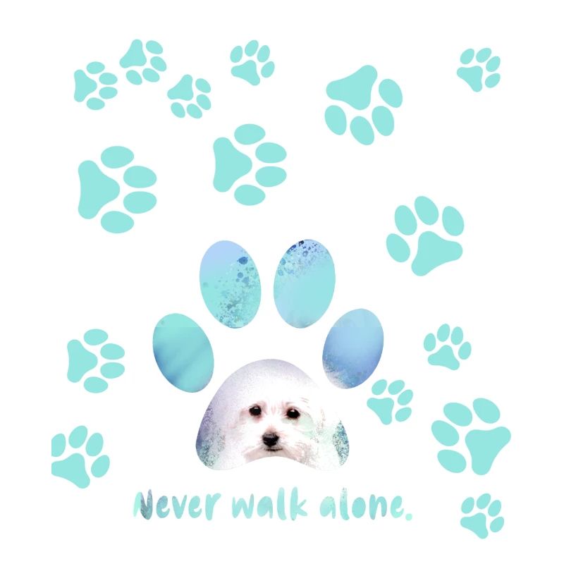 Never walk alone,hund, Pfoten,malteser