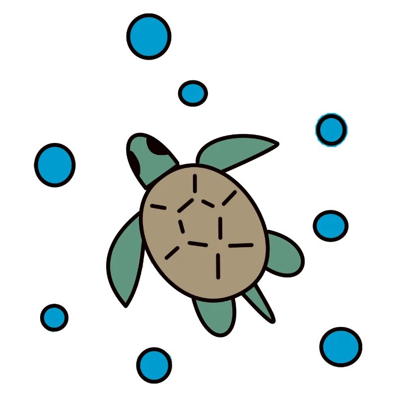 Tortue