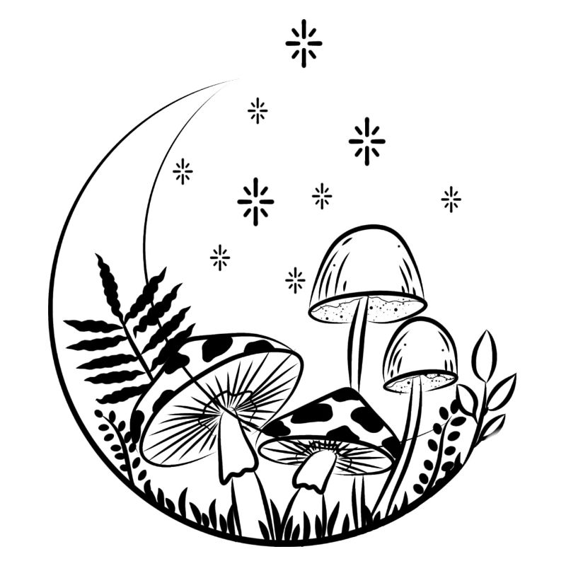 Champignons de nuit
