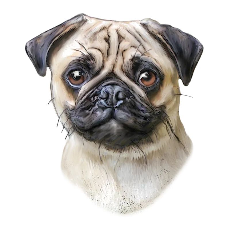 Mops