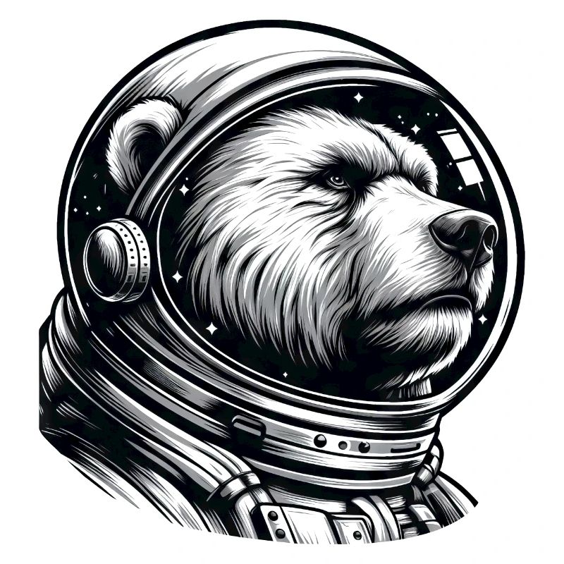 Bear, Astronaut, Space, Space