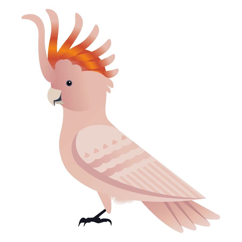 Cacatoès oiseau rose graphique / illustration