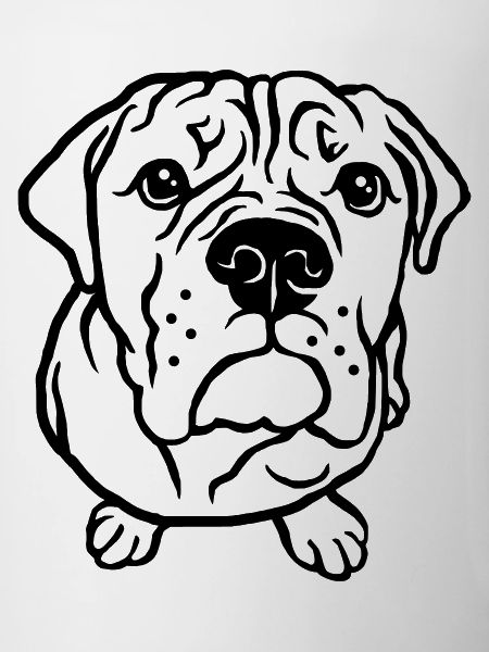 Bulldog begging