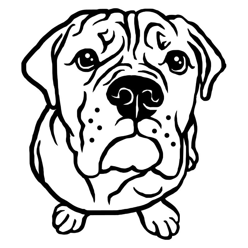 Bulldog bettelnd
