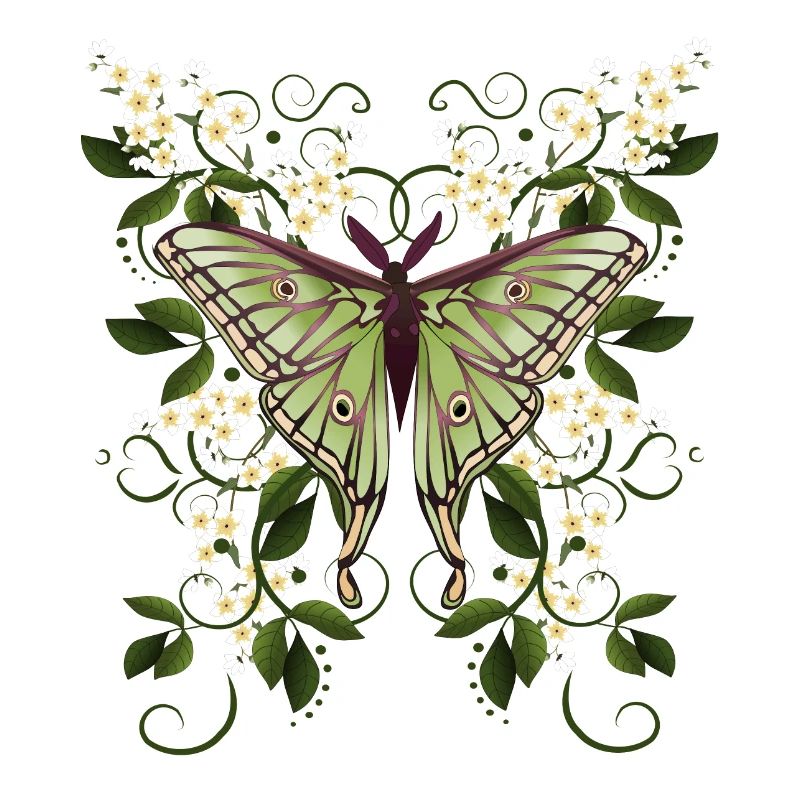 Butterfly Moth Butterfly