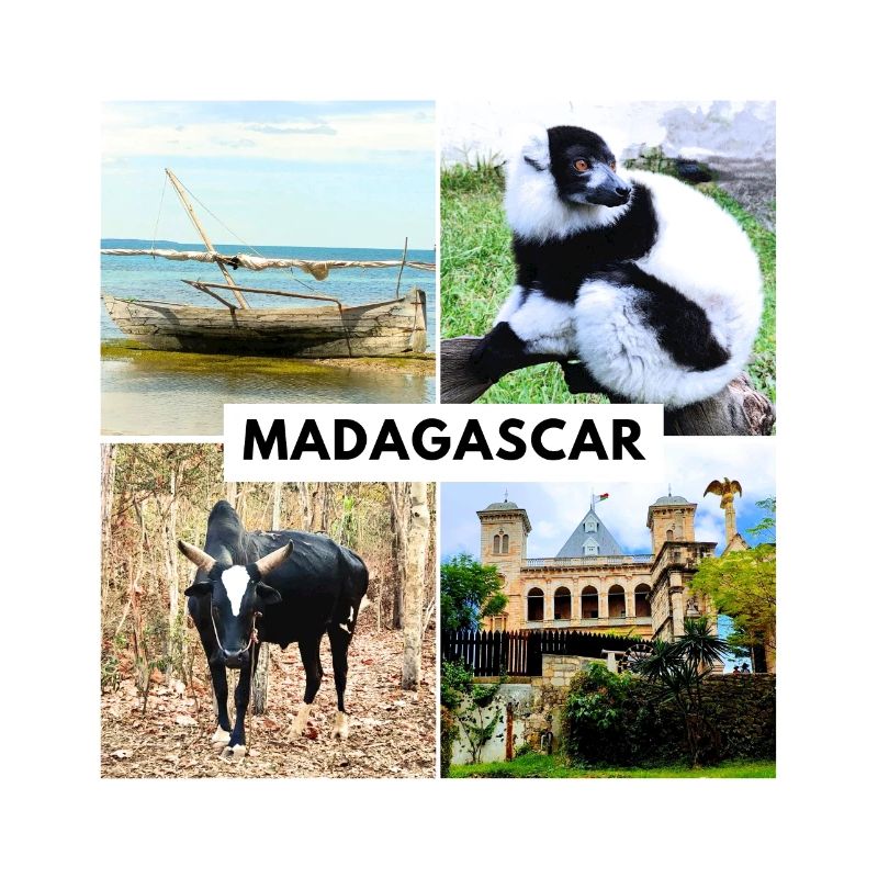 Symbols of Madagascar
