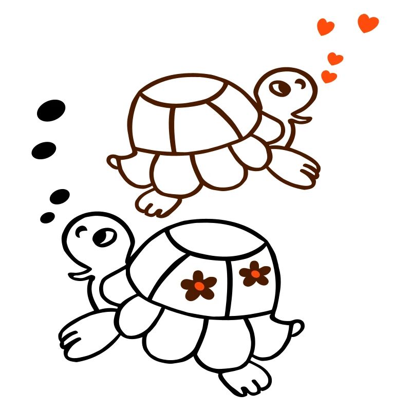 Schildkröten im Meer
